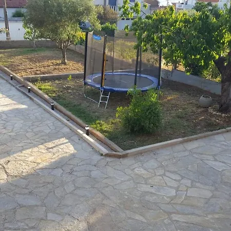 Dalmatian Dream * 扎达尔