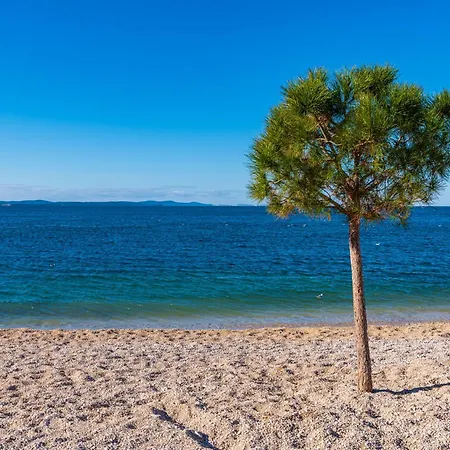 Apartment Dalmatian Dream Apartment Zadar