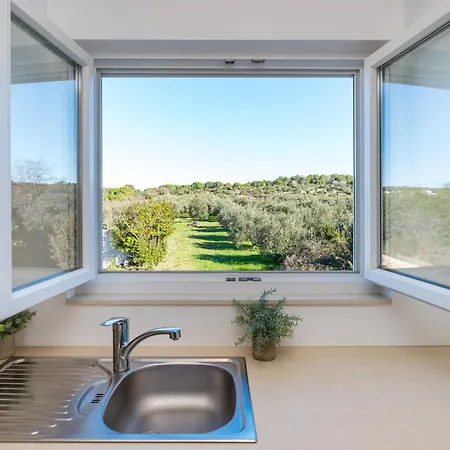 Apartment Dalmatian Dream Apartment Zadar *