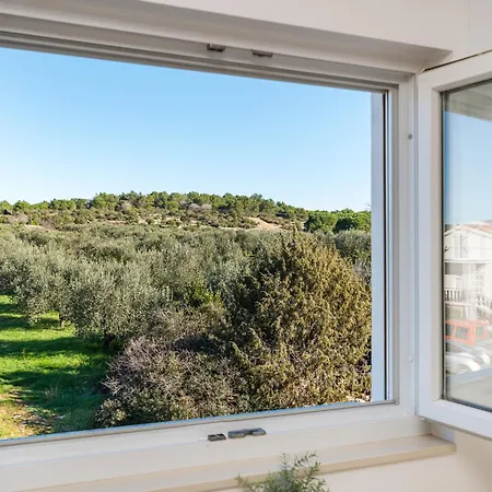 Apartment Dalmatian Dream Apartment Zadar Zadar