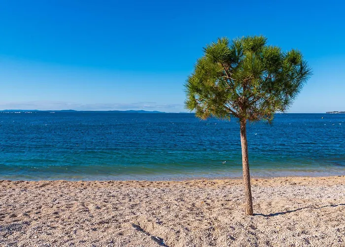 דירה Dalmatian Dream