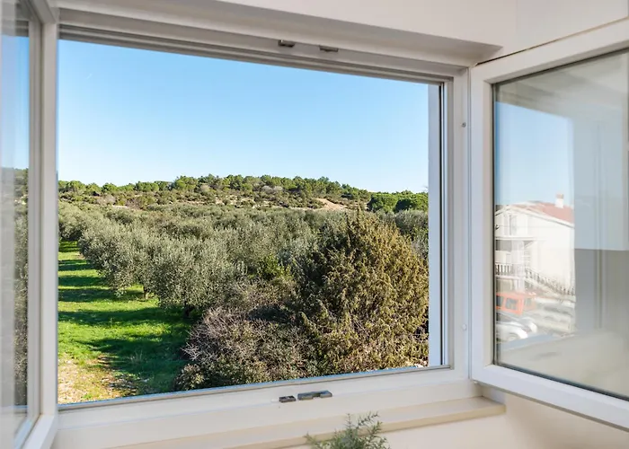 דירה Dalmatian Dream זאדאר