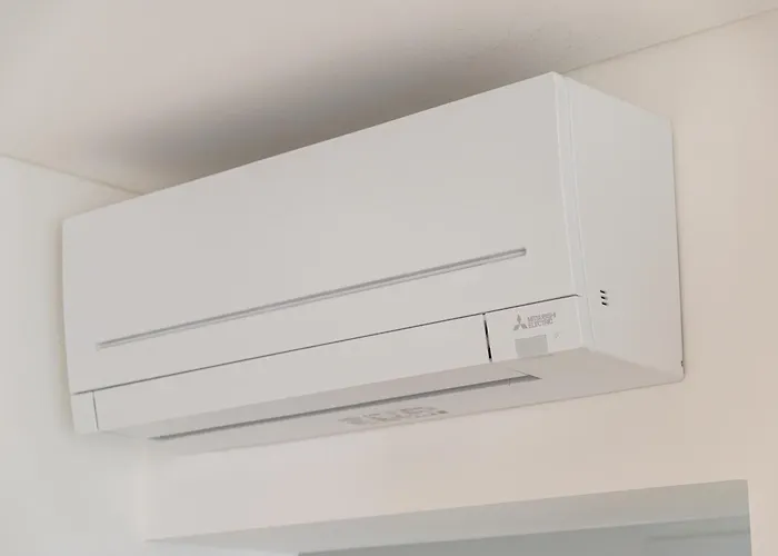 Dalmatian Dream * זאדאר