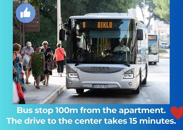 Dalmatian Dream * זאדאר