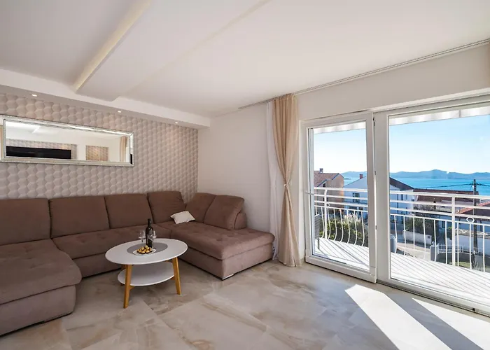 Dalmatian Dream זאדאר