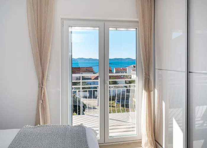 Dalmatian Dream * זאדאר