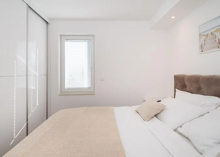 Dalmatian Dream זאדאר